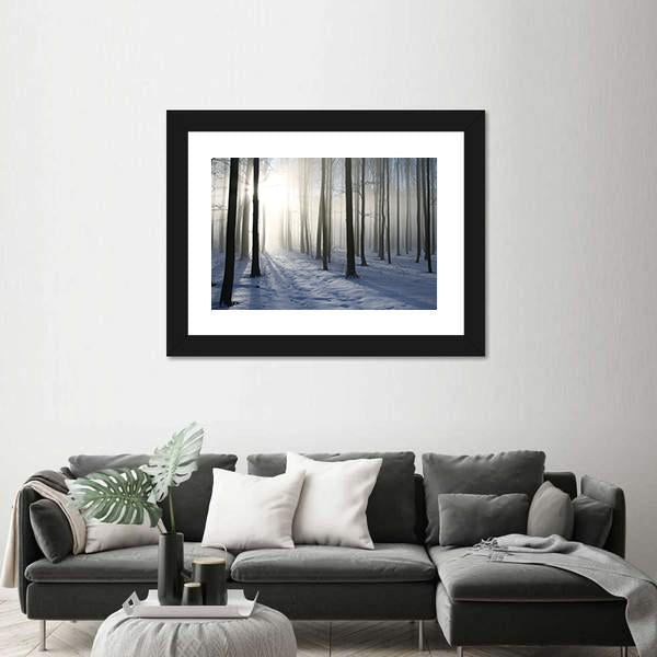 Path In The Misty Winter Forest Backlit By The Morning Sun Canvas Wall Art-3 Horizontal-Gallery Wrap-25" x 16"-Tiaracle