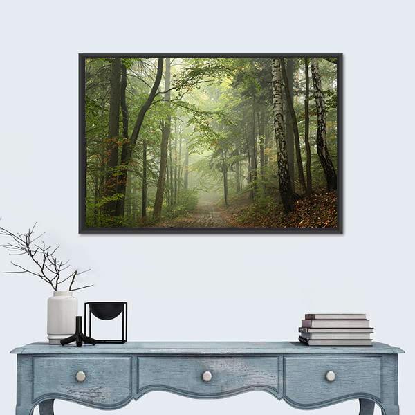Path Through The Beech Forest In Foggy Weather Canvas Wall Art-1 Piece-Floating Frame-24&quot; x 16&quot;-Tiaracle
