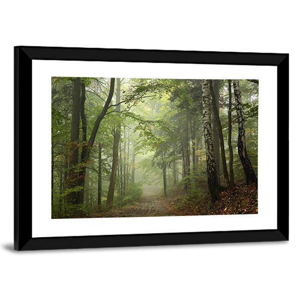 Path Through The Beech Forest In Foggy Weather Canvas Wall Art-5 Horizontal-Gallery Wrap-22" x 12"-Tiaracle