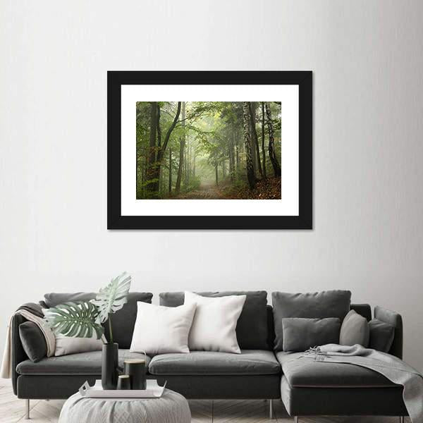 Path Through The Beech Forest In Foggy Weather Canvas Wall Art-5 Horizontal-Gallery Wrap-22" x 12"-Tiaracle