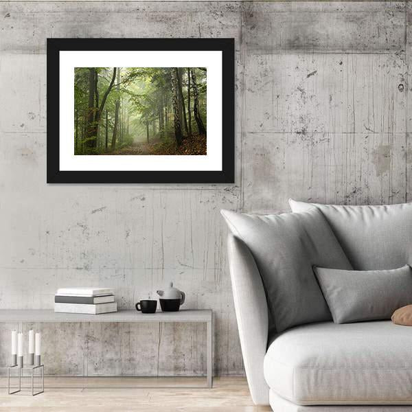 Path Through The Beech Forest In Foggy Weather Canvas Wall Art-5 Horizontal-Gallery Wrap-22&quot; x 12&quot;-Tiaracle