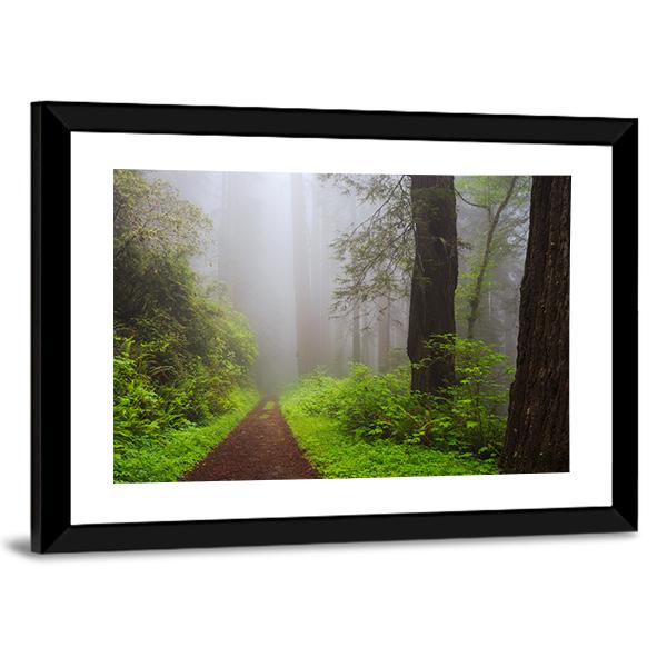 Path Through The Redwoods Forest Canvas Wall Art-3 Horizontal-Gallery Wrap-25" x 16"-Tiaracle