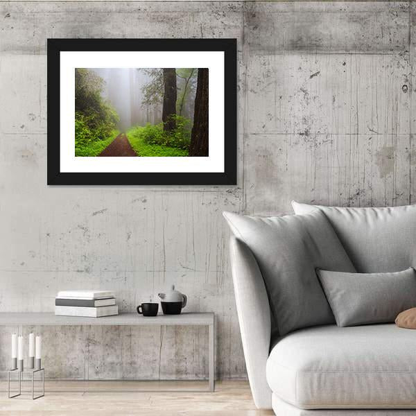 Path Through the Redwoods Forest Canvas Wall Art-5 Horizontal-Gallery Wrap-22" x 12"-Tiaracle