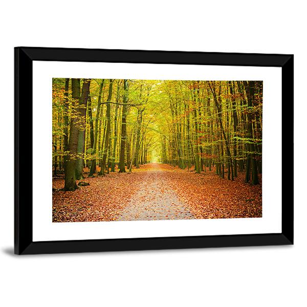 Pathway In The Autumn Forest Canvas Wall Art-1 Piece-Framed Print-20" x 16"-Tiaracle