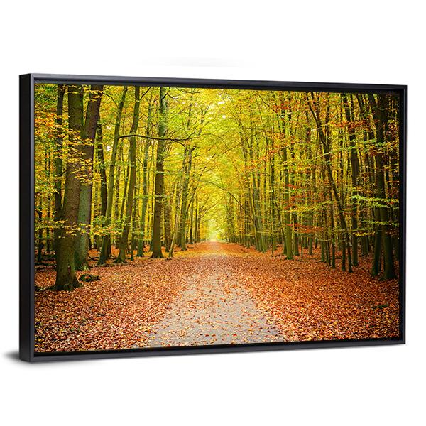 Pathway In The Autumn Forest Canvas Wall Art-3 Horizontal-Gallery Wrap-25" x 16"-Tiaracle
