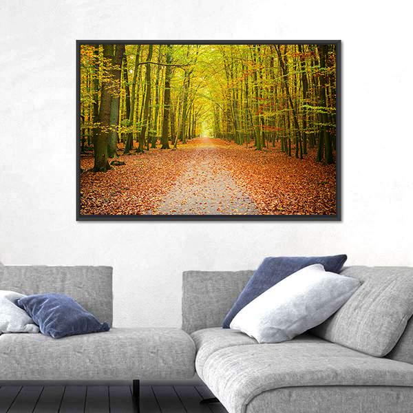 Pathway In The Autumn Forest Canvas Wall Art-3 Horizontal-Gallery Wrap-25" x 16"-Tiaracle
