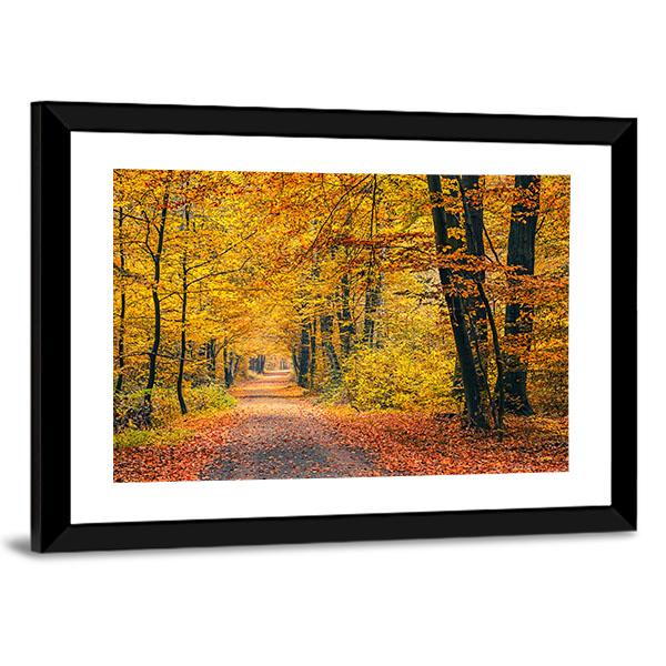 Pathway In The Autumn Forest Canvas Wall Art-5 Horizontal-Gallery Wrap-22&quot; x 12&quot;-Tiaracle