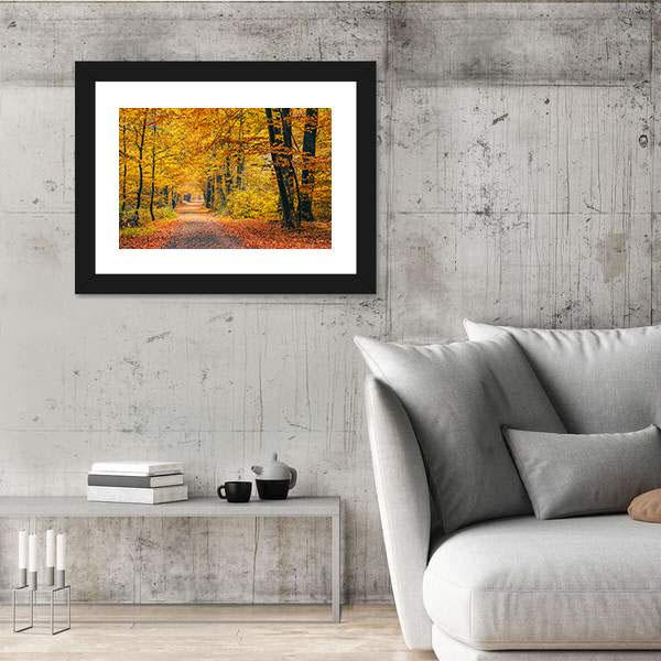 Pathway In The Autumn Forest Canvas Wall Art-5 Horizontal-Gallery Wrap-22" x 12"-Tiaracle