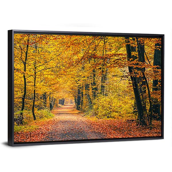 Pathway In The Autumn Forest Canvas Wall Art-5 Horizontal-Gallery Wrap-22" x 12"-Tiaracle