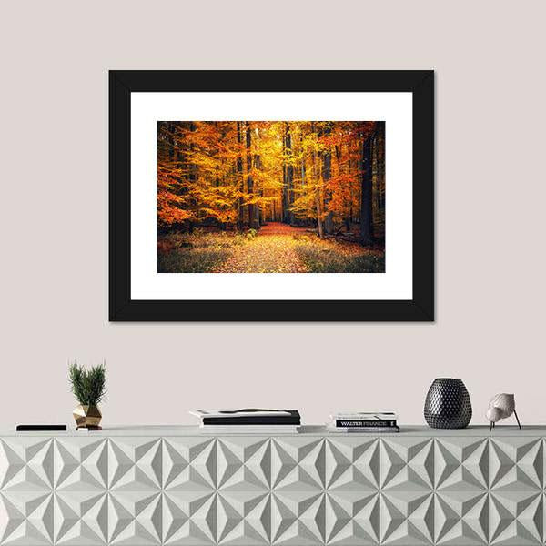 Pathway In The Autumn Park Canvas Wall Art-1 Piece-Framed Print-20" x 16"-Tiaracle