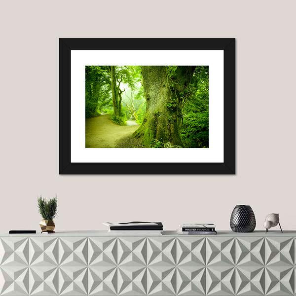 Pathway Leading Into A Forest Canvas Wall Art-1 Piece-Framed Print-20" x 16"-Tiaracle