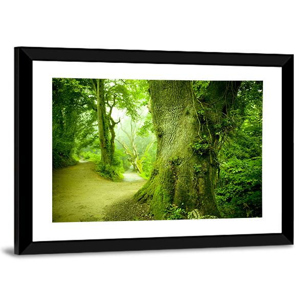 Pathway Leading Into A Forest Canvas Wall Art-3 Horizontal-Gallery Wrap-25" x 16"-Tiaracle
