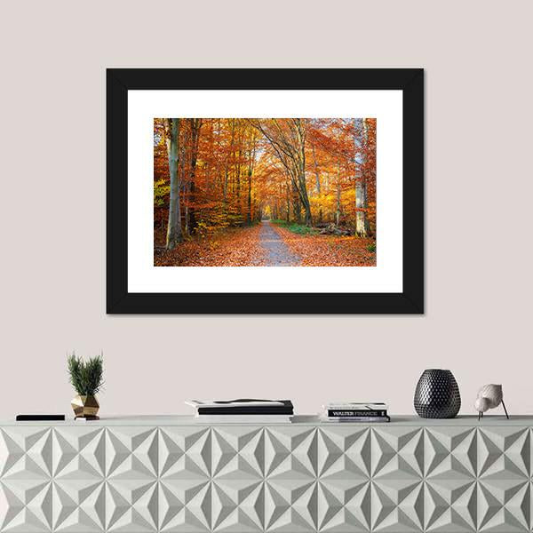 Pathway Through The Autumn Forest Canvas Wall Art-1 Piece-Framed Print-20" x 16"-Tiaracle
