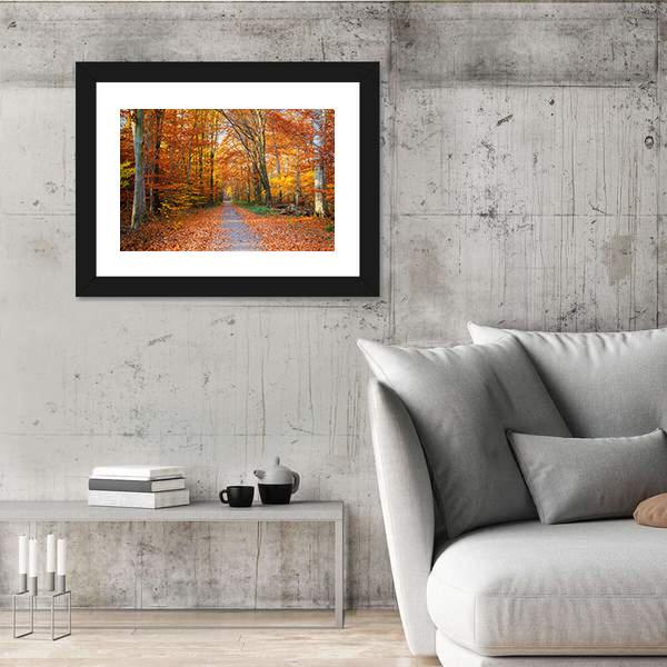Pathway Through The Autumn Forest Canvas Wall Art-5 Horizontal-Gallery Wrap-22" x 12"-Tiaracle