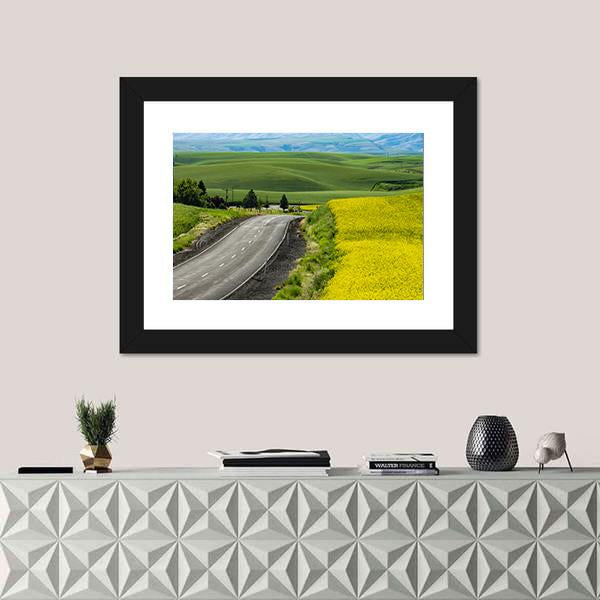 Paved Highway Passing Through Canola Fields Canvas Wall Art-1 Piece-Framed Print-20" x 16"-Tiaracle