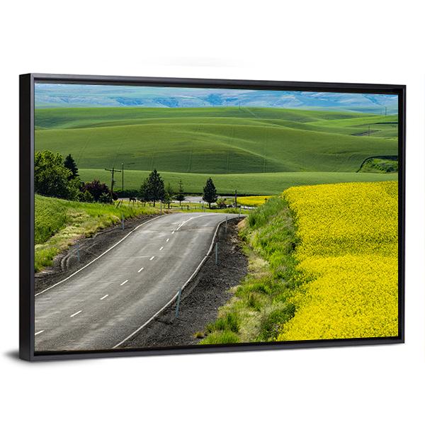 Paved Highway Passing Through Canola Fields Canvas Wall Art-3 Horizontal-Gallery Wrap-25" x 16"-Tiaracle