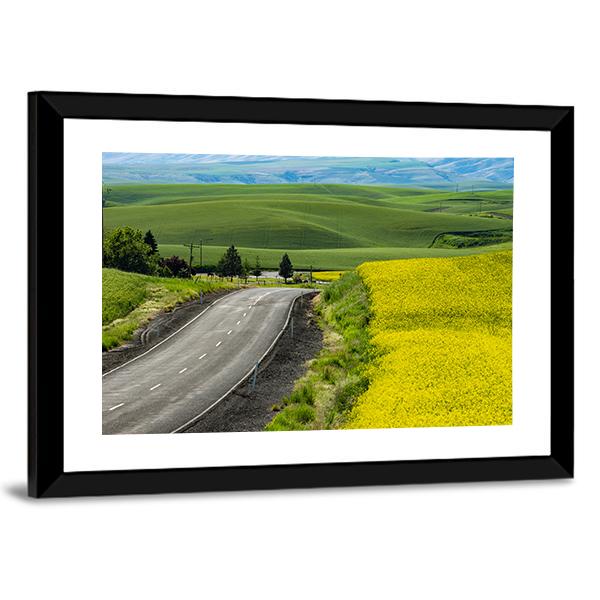 Paved Highway Passing Through Canola Fields Canvas Wall Art-3 Horizontal-Gallery Wrap-25" x 16"-Tiaracle