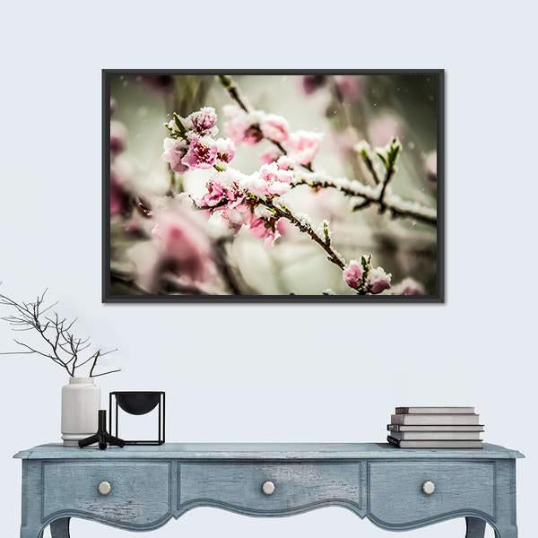Peach Blossom Covered In Snow Canvas Wall Art-1 Piece-Floating Frame-36" x 24"-Tiaracle