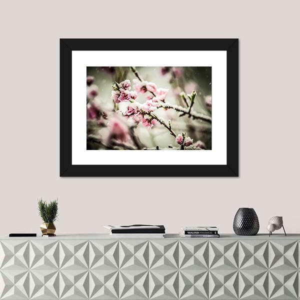 Peach Blossom Covered In Snow Canvas Wall Art-1 Piece-Framed Print-30" x 20"-Tiaracle