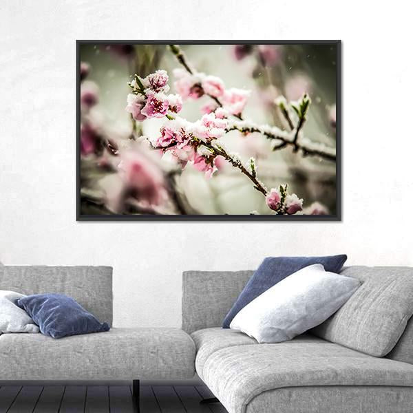 Peach Blossom Covered In Snow Canvas Wall Art - Tiaracle