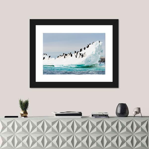 Penguins Colony On Iceberg Antarctica Canvas Wall Art-1 Piece-Framed Print-20" x 16"-Tiaracle