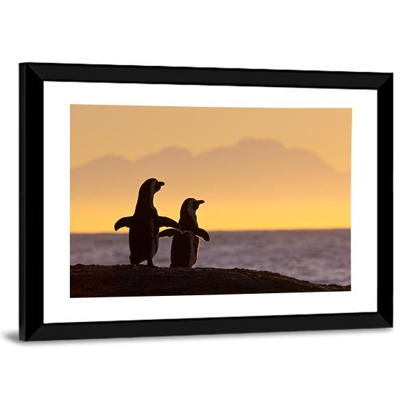 Penguins Near Cape Town Canvas Wall Art-5 Horizontal-Gallery Wrap-22" x 12"-Tiaracle