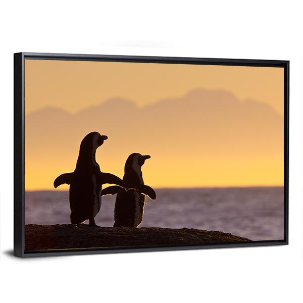 Penguins Near Cape Town Canvas Wall Art-5 Horizontal-Gallery Wrap-22" x 12"-Tiaracle