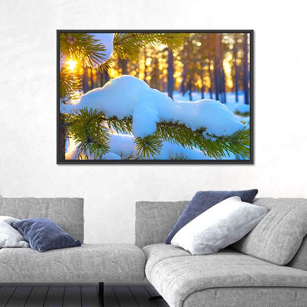 Pine Branch In Snow Winter Sunset In The Forest Canvas Wall Art-5 Horizontal-Gallery Wrap-22" x 12"-Tiaracle