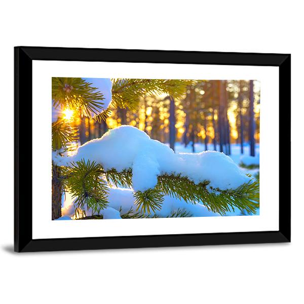 Pine Branch In Snow Winter Sunset In The Forest Canvas Wall Art-5 Horizontal-Gallery Wrap-22" x 12"-Tiaracle