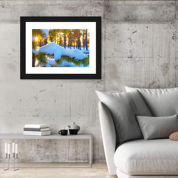 Pine Branch In Snow Winter Sunset In The Forest Canvas Wall Art-5 Horizontal-Gallery Wrap-22" x 12"-Tiaracle