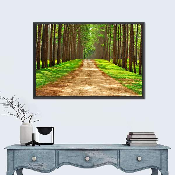 Pine Forest In Thailand Canvas Wall Art-1 Piece-Floating Frame-24&quot; x 16&quot;-Tiaracle