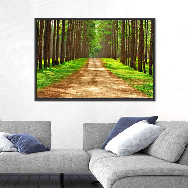Pine Forest In Thailand Canvas Wall Art-5 Horizontal-Gallery Wrap-22" x 12"-Tiaracle