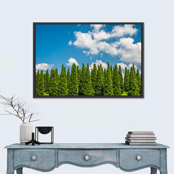 Pine Tree In Big Park Chiang Mai Canvas Wall Art-1 Piece-Floating Frame-24" x 16"-Tiaracle