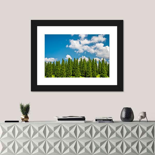 Pine Tree In Big Park Chiang Mai Canvas Wall Art-1 Piece-Framed Print-20" x 16"-Tiaracle