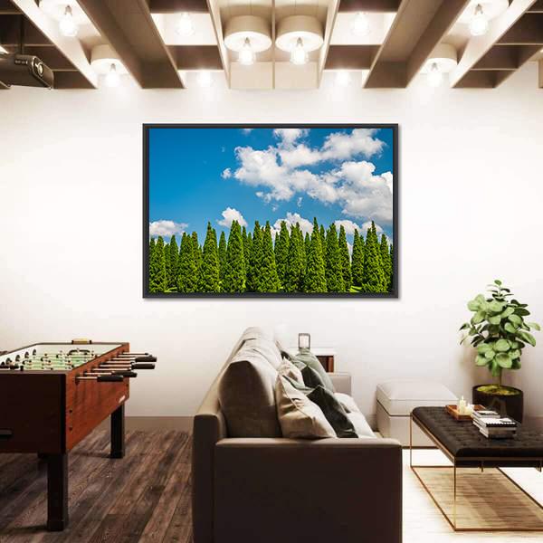 Pine Tree In Big Park Chiang Mai Canvas Wall Art-3 Horizontal-Gallery Wrap-25" x 16"-Tiaracle