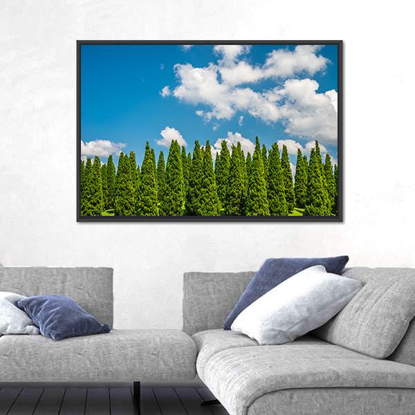Pine Tree In Big Park Chiang Mai Canvas Wall Art-3 Horizontal-Gallery Wrap-25" x 16"-Tiaracle