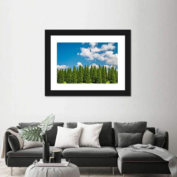 Pine Tree In Big Park Chiang Mai Canvas Wall Art-3 Horizontal-Gallery Wrap-25" x 16"-Tiaracle