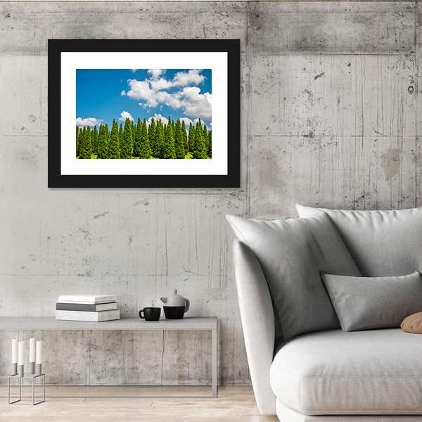 Pine Tree In Big Park Chiang Mai Canvas Wall Art-3 Horizontal-Gallery Wrap-25" x 16"-Tiaracle
