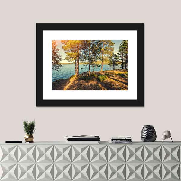 Pine Trees Near Sea In Finland Canvas Wall Art-1 Piece-Framed Print-20" x 16"-Tiaracle