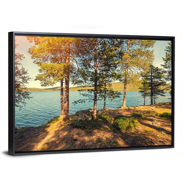 Pine Trees Near Sea In Finland Canvas Wall Art-3 Horizontal-Gallery Wrap-25" x 16"-Tiaracle