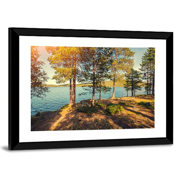 Pine Trees Near Sea In Finland Canvas Wall Art-3 Horizontal-Gallery Wrap-25" x 16"-Tiaracle