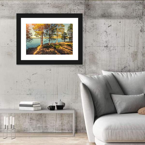 Pine Trees Near Sea In Finland Canvas Wall Art-3 Horizontal-Gallery Wrap-25" x 16"-Tiaracle