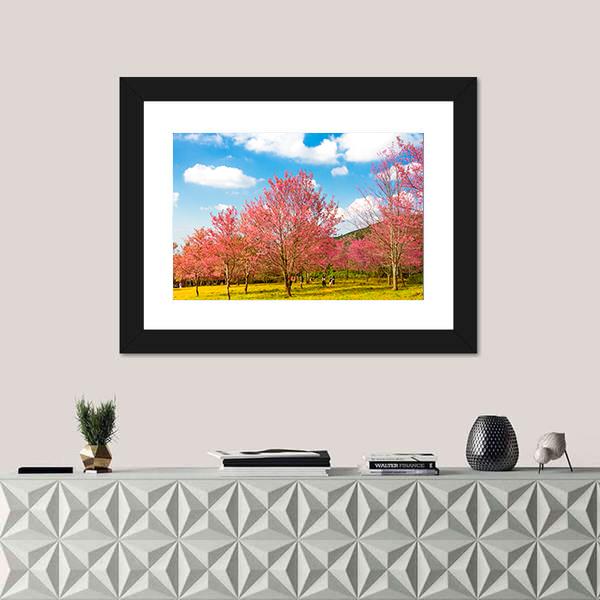 Pink Cherry Blossom Flower Canvas Wall Art-1 Piece-Framed Print-20" x 16"-Tiaracle