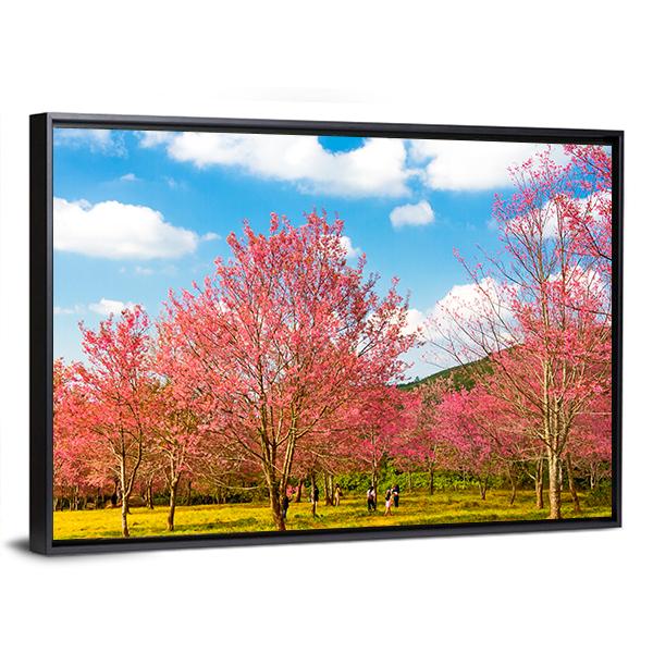 Pink Cherry Blossom Flower Canvas Wall Art-3 Horizontal-Gallery Wrap-25" x 16"-Tiaracle
