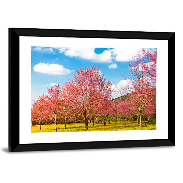 Pink Cherry Blossom Flower Canvas Wall Art-3 Horizontal-Gallery Wrap-25" x 16"-Tiaracle