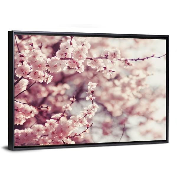 Pink Cherry Blossoms Flowers Canvas Wall Art in white and pink, 3 panel horizontal set hung on a wall