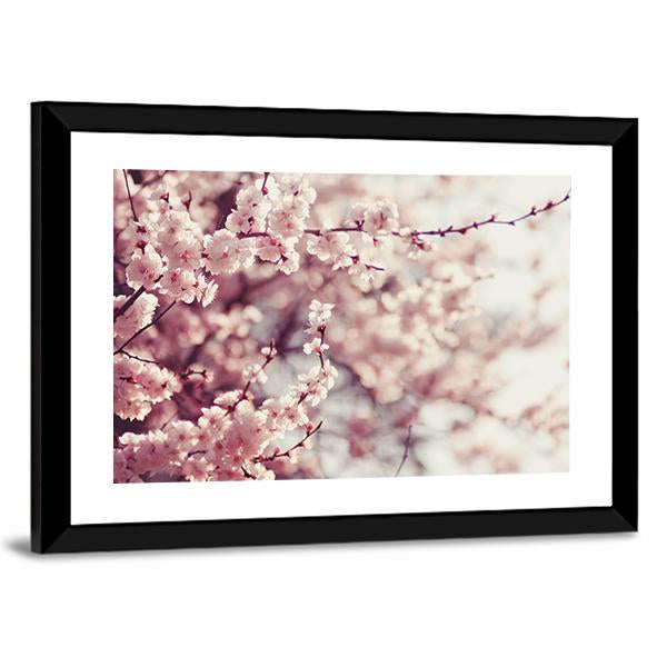 Pink Cherry Blossoms Flowers Canvas Wall Art in white and pink, 3 panel horizontal set hung on a wall