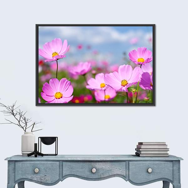 Pink Cosmos Field And Sky Canvas Wall Art-1 Piece-Floating Frame-24" x 16"-Tiaracle