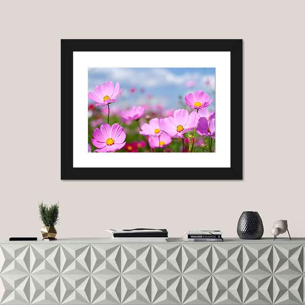Pink Cosmos Field And Sky Canvas Wall Art-1 Piece-Framed Print-20" x 16"-Tiaracle