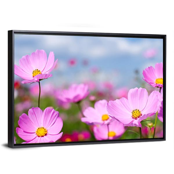 Pink Cosmos Field And Sky Canvas Wall Art-3 Horizontal-Gallery Wrap-25" x 16"-Tiaracle